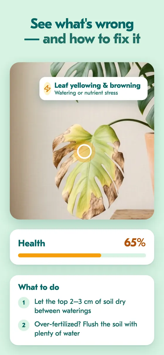 Health check screen showing a health score and treatment steps