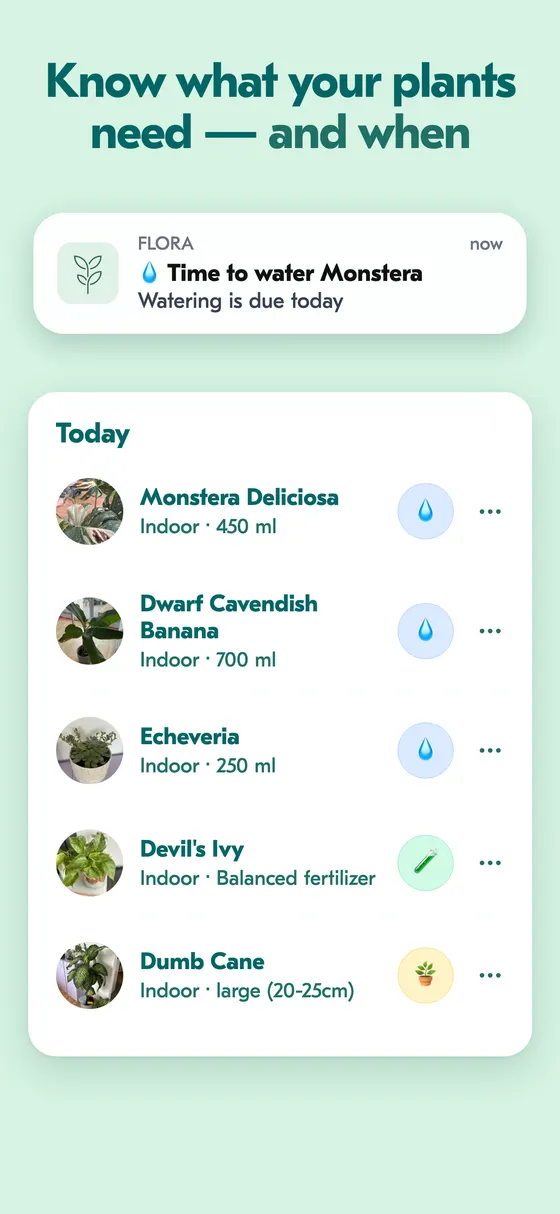 Home screen showing today's watering, fertilizing and repotting tasks