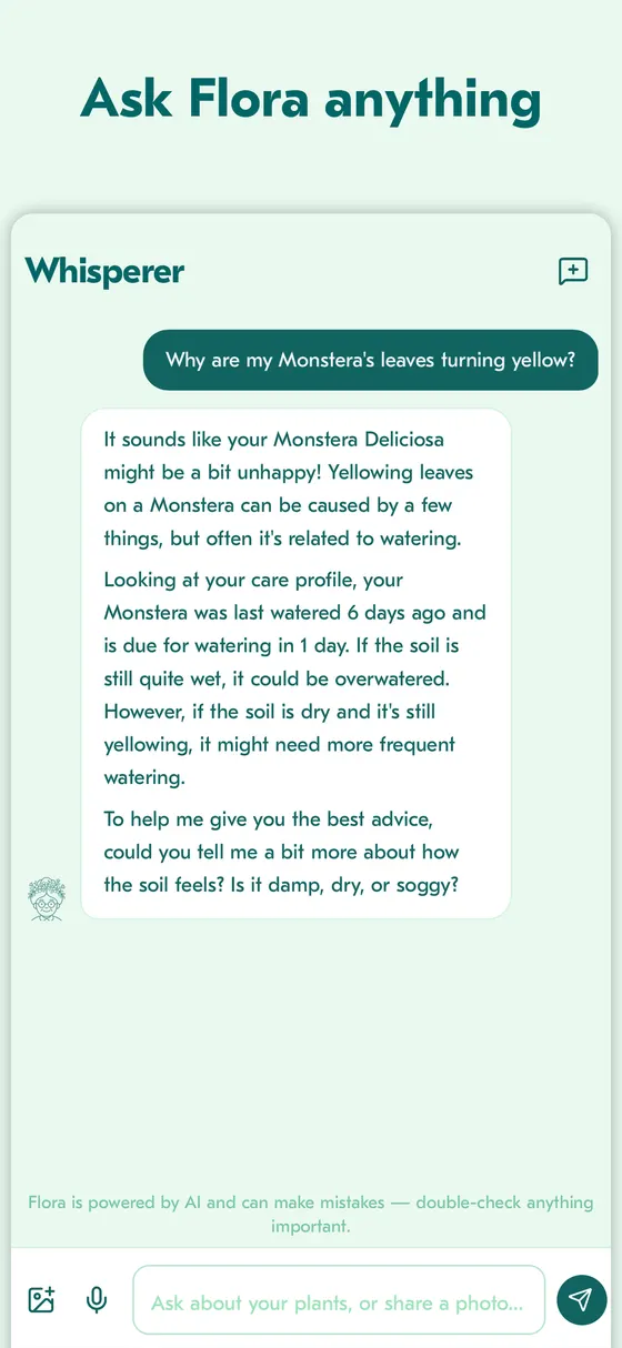 Plant Whisperer chat answering why leaves are turning yellow